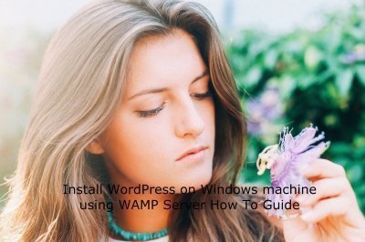How to install WordPress on Windows Machine using WAMP Server